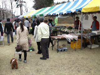 20130406_49.jpg