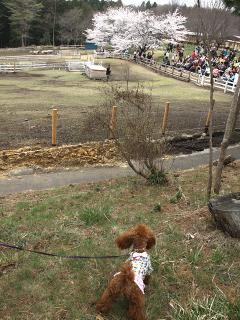 20130406_56.jpg