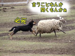 20130406_57.jpg