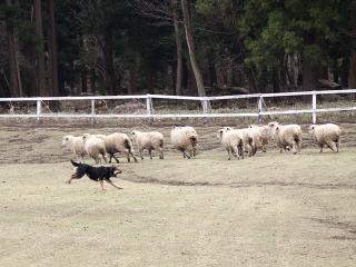 20130406_58.jpg