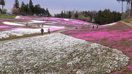 20130406_61.jpg