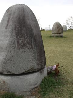 20130406_67.jpg