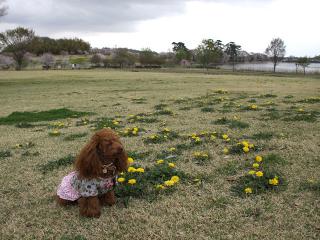 20130406_68.jpg