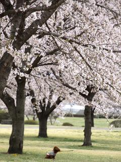 20130406_72.jpg