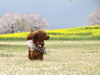 20130406_73.jpg