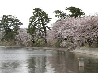 20130406_78.jpg