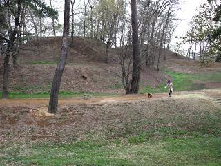 20130406_80.jpg