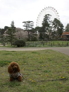 20130406_85.jpg