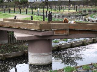 20130406_86.jpg