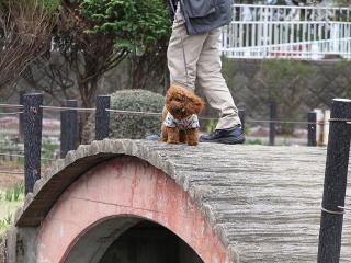 20130406_89.jpg