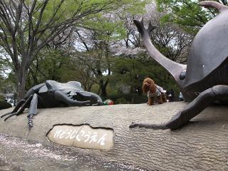20130406_91.jpg