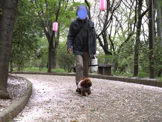 20130406_94.jpg