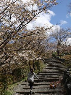 20130407_02.jpg