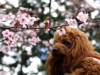 20130407_05.jpg