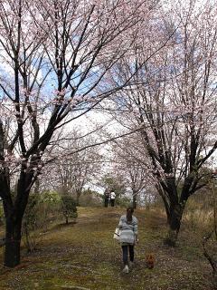 20130407_06.jpg