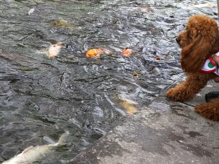 20130407_13.jpg