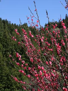 20130407_18.jpg