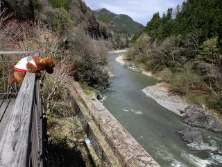 20130407_20.jpg