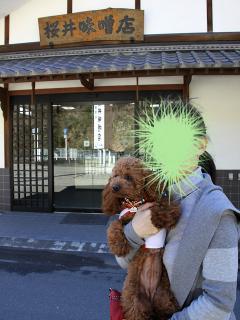 20130407_23.jpg