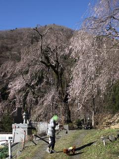 20130407_26.jpg
