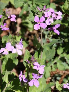 20130407_31.jpg