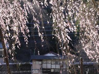 20130407_40.jpg