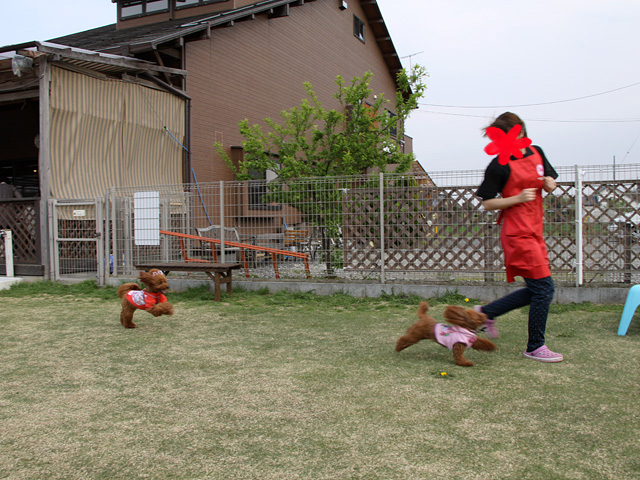 20130415_01.jpg