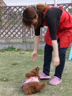20130415_03.jpg