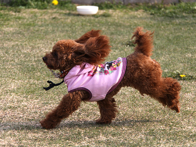 20130415_06.jpg