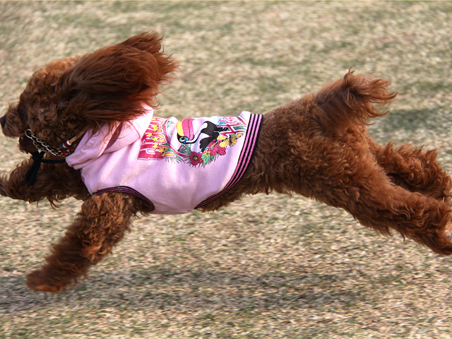 20130415_07.jpg