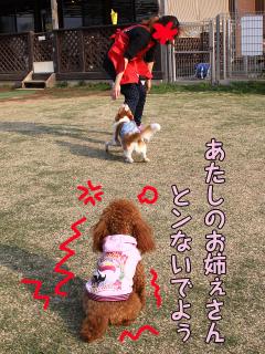 20130415_20.jpg