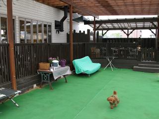 20130420_01.jpg