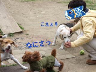 20130420_02.jpg