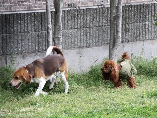 20130420_03.jpg