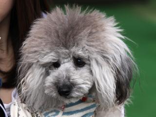 20130420_06.jpg