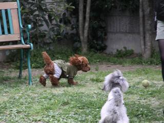 20130420_08.jpg