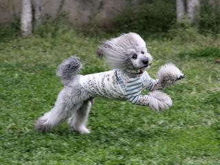 20130420_09.jpg