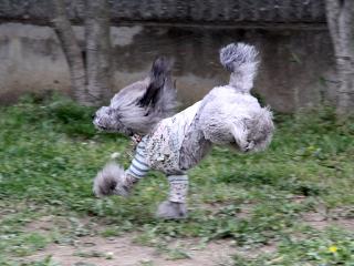 20130420_10.jpg