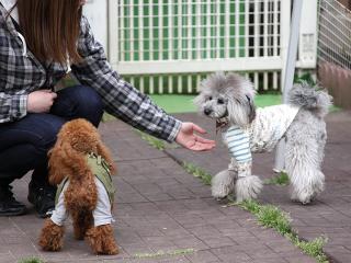 20130420_12.jpg