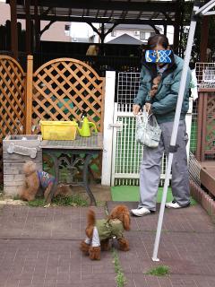 20130420_15.jpg