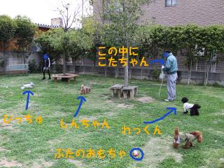 20130420_18.jpg