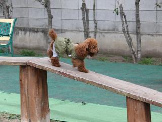 20130420_19.jpg