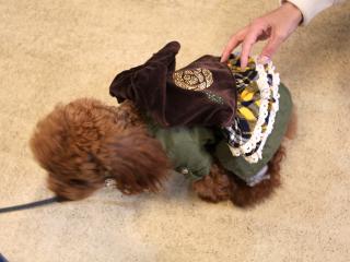 20130420_21.jpg