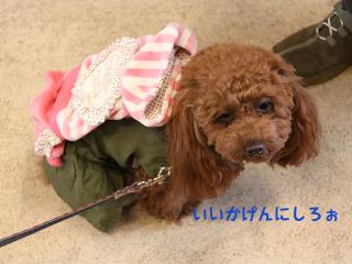 20130420_22.jpg