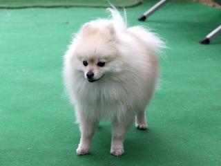 20130420_27.jpg
