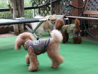 20130420_28.jpg