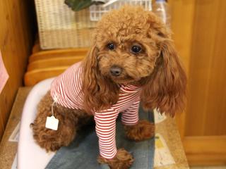 20130420_29.jpg