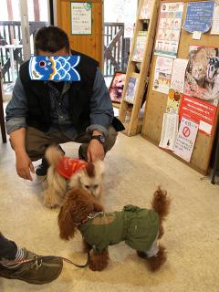 20130420_30.jpg