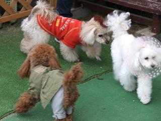 20130420_31.jpg