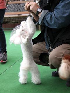 20130420_33.jpg